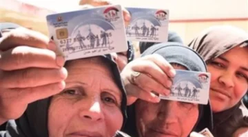 كيفية الاستعلام عن معاش تكافل وكرامة باستخدام الرقم القومي لعام 2026